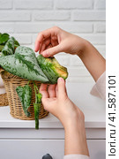 Woman gardener caring for withered plant in flower pot, home living room. Female hands with dried house plant. Scindapsus pictus trebie or silver vine. Стоковое фото, фотограф Андрей Журавлев / Фотобанк Лори