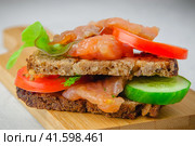 Salmon redfish bread snack with salad, vegetables and herbs laying on a rustic board. Стоковое фото, фотограф Воловодов Владимир / Фотобанк Лори