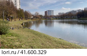 Москва, Чертаново Центральное, Красный пруд. Солнечный день, осень, стая голубей на берегу. Вид на Чертановскую улицу, трамвай, жилые дома (2023 год). Стоковое видео, видеограф Щеголева Ольга / Фотобанк Лори