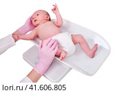 The doctor weighs a newborn baby on a scale, isolated on a white background. Uniformed nurse taking measurements of the child weight. Kid aged two months. Стоковое фото, фотограф Андрей Журавлев / Фотобанк Лори