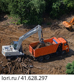 Excavator loads soil into the back of a truck, top view - July 10, 2020, Moscow, Russia. Редакционное фото, фотограф Андрей Журавлев / Фотобанк Лори