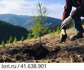 Environmental volunteers plant seedlings of spruce trees on the slopes of the mountains. Generated by AI. Стоковое AI-изображение, AI-художник Ярославский Максим / Фотобанк Лори