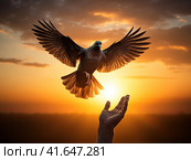 A man and a pigeon in flight against the background of the setting sun.Generated by AI. Стоковое AI-изображение, AI-художник Ярославский Максим / Фотобанк Лори