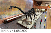 Moscow, Russia, June 04, 2022: Paleontological Museum in Moscow. Редакционное фото, фотограф Igor Skripachev / Фотобанк Лори