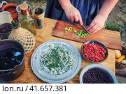 A woman prepares food for the first American prospectors gold. Women's hands cut vegetables on a wooden Board in the United States. Life of the first conquerors of the wild West. Стоковое фото, фотограф Андрей Журавлев / Фотобанк Лори