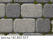 Industrial building background of paving slabs with overgrown with moss in the cracks. Texturing background. Стоковое фото, фотограф Леонид Еремейчук / Фотобанк Лори