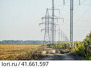 Power line support. Стоковое фото, фотограф Леонид Еремейчук / Фотобанк Лори