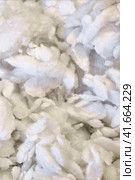 Background of matted cotton for stuffing sofa cushions. Texture of felt material for the upholstery of the bed. Стоковое фото, фотограф Андрей Журавлев / Фотобанк Лори