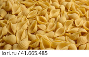 Conchiglie, Shells or Seashells Pasta Wallpaper. Spiral Raw Macaroni from Wheat flour rotating on Turntable. Close Up Top View. Uncooked Pasta Spinning. Full Frame. Food Background. Conchigliette. Стоковое видео, видеограф Марина Демидюк / Фотобанк Лори