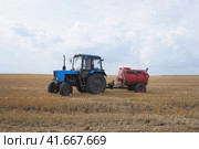 Ryazan oblast, Russia - August 23, 2023. Tractor MTZ Belarus-80 in harvested field. Sunny summer view. Трактор МТЗ Беларус-80 в поле. Редакционное фото, фотограф Александр Кузнецов / Фотобанк Лори