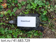 Download. A bad internet symbol. Low download speed. Slow internet. Ordinary river tortoise of temperate latitudes. The tortoise is an ancient reptile. Стоковое фото, фотограф Леонид Еремейчук / Фотобанк Лори