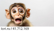 A cute little lop-eared monkey with an open mouth anThe concept of surprise. Generated by AI. Стоковое AI-изображение, AI-художник Ярославский Максим / Фотобанк Лори