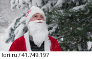 Portrait of Santa Claus with White Beard. Father Christmas Walking at Winter Snowy Forest. Thoughtful Santa Delivering Presents to Congratulate People. Snow Covered Trees Background. New Year Holidays. Стоковое видео, видеограф Марина Демидюк / Фотобанк Лори