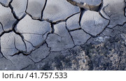 Высохшая почва без растительности, такыр. Takyr looking surface of dry bare soil without any vegetation. Close up view. Стоковое видео, видеограф Александр Кузнецов / Фотобанк Лори