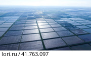 Flooded rice paddies. Agronomic methods of growing rice. Стоковое фото, фотограф Леонид Еремейчук / Фотобанк Лори
