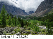 Горная долина, камни, лес и облака на вершинах гор, река внизу. Алтай, Актру. Стоковое фото, фотограф Ольга Калита / Фотобанк Лори