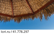 A fragment of a straw sun umbrella on a blue sky background. A wooden frame is visible, the texture of intertwined dry straw. Upper left corner. Стоковое фото, фотограф Вера Ивановна Кубарева / Фотобанк Лори