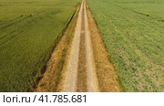 A dirt road between the fields of wheat and peas. Стоковое фото, фотограф Леонид Еремейчук / Фотобанк Лори