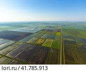 The rice fields are flooded with water. Flooded rice paddies. Agronomic methods of growing rice in the fields. Стоковое фото, фотограф Леонид Еремейчук / Фотобанк Лори