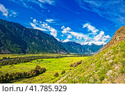Долина реки Чулышман. Урочище Аккурум. Горный Алтай. Стоковое фото, фотограф Макаров Алексей / Фотобанк Лори