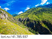 Урочище Аккурум (Ак-Корум). Горный Алтай. Стоковое фото, фотограф Макаров Алексей / Фотобанк Лори