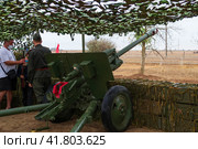 Волгоградская область, Средняя Ахтуба, Россия. Военная реконструкция, дивизионная пушка ЗИС-3 на замаскированной огневой позиции в парке Патриот, эпизод Сталинградской битвы. (2020 год). Редакционное фото, фотограф Андрей Цыганков / Фотобанк Лори