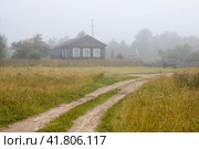 Вид на пустынную деревенскую улицу и старый деревянный дом. Утренний туман. Летний сельский туманный пейзаж. Грунтовая дорога в деревне. Повседневная жизнь в деревне. Вологодская область, Россия. Стоковое фото, фотограф Андрей Степанов / Фотобанк Лори