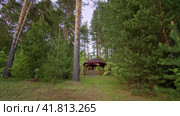 Secluded Forest Gazebo. A Wooden Retreat Among the Trees (2023 год). Редакционное видео, видеограф Даниил Хабаров / Фотобанк Лори