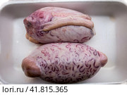 Bull testicles on a white plastic tray. Стоковое фото, фотограф Iva Noel / Фотобанк Лори