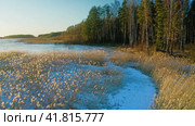 Snow and frost on aquatic plants in a forest pond, bright sunshine, frosty weather. Aerial Drone Shot. (2023 год). Редакционное видео, видеограф Даниил Хабаров / Фотобанк Лори