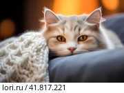 Кошка дремлет в тепле. Стоковое AI-изображение, AI-художник Щеголева Ольга / Фотобанк Лори