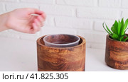 Woman gardener pours coconut chips for planting a houseplant in a pot, home interior. Female hands pour coconut flakes into a flower pot to fertilize the soil, white brick wall background. Стоковое видео, видеограф Андрей Журавлев / Фотобанк Лори