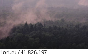 Ominous mystical fog over the forest, halloween background. Evaporation of moisture over the tops of trees after rain, timelapse. Стоковое видео, видеограф Андрей Журавлев / Фотобанк Лори