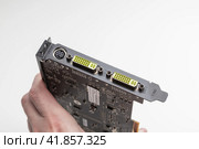 XFX GeForce 7950 GT очень редкая AGP видеокарта. Стоковое фото, фотограф Станислав Кноп / Фотобанк Лори