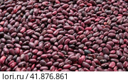 Kidney beans spinning background. Dry red bean wallpaper. Texture. Frame with copy space. Lots of Beans rotating on turntable. Close up. Diet, vegetarianism. Healthy Food. Legume grains. 4k real time. Стоковое видео, видеограф Марина Демидюк / Фотобанк Лори