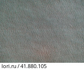 The texture of the book cover. The book cover is gray with a macro texture for the background. Grey grunge background antique crackle finish. Стоковое фото, фотограф Александр Кротков / Фотобанк Лори