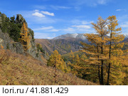 Осенний пейзаж в горном Алтае, Усть-Коксинский район. Стоковое фото, фотограф Римма Тельнова / Фотобанк Лори