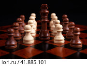 Chess pawns and king on a board on a black background. Стоковое фото, фотограф Александр Калугин / Фотобанк Лори