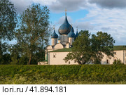Cathedral of the Nativity of the Most Holy Theotokos (Bogoroditse-Rozhdestvensky Cathedral) in the Suzdal Kremlin on a summer day, Vladimir region, Russia. Стоковое фото, фотограф Ula Ulachka / Фотобанк Лори