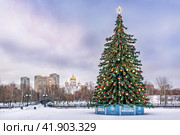 Праздничные медведи и ель, река Яуза, Новый год, Ростокино, Ростокинский акведук, Москва (2023 год). Стоковое фото, фотограф Baturina Yuliya / Фотобанк Лори