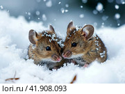 Snowstorm, two mice snuggling together and almost covered in snow, ,Generative AI. Стоковое AI-изображение, AI-художник Анна Кривицкая / Фотобанк Лори