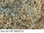 Closeup of pile of natural organic pressed maize silage. Стоковое фото, фотограф Яков Филимонов / Фотобанк Лори