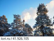 Smoke from a factory chimney. Ecological pollution. Air emissions polluting forest. Industrial waste. Industry metallurgical plant emissions. Smog and bad ecology. Central heating of CHP in winter. Стоковое фото, фотограф Юлия Петровская / Фотобанк Лори