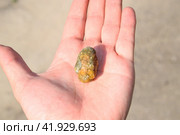 Gallstone in hand, Gall bladder stone. result of gallstones. Calculus of heterogeneous composition. Стоковое фото, фотограф Леонид Еремейчук / Фотобанк Лори