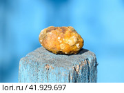 Gall bladder stone. Calculus of heterogeneous composition. Стоковое фото, фотограф Леонид Еремейчук / Фотобанк Лори