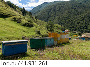 Передвижная пчелиная пасека  в кавказских горах летним днем. Стоковое фото, фотограф Pukhov K / Фотобанк Лори
