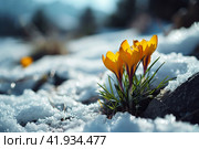 Yellow crocuses in the snow,Generative AI. Стоковое AI-изображение, AI-художник Анна Кривицкая / Фотобанк Лори