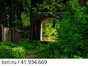 Проездная арка в старом, заросшем доме. Стоковое фото, фотограф Илья Старков / Фотобанк Лори