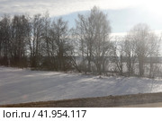 Лес вдоль трассы М3 зимой (2024 год). Редакционное фото, фотограф Дмитрий Неумоин / Фотобанк Лори