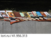 Торговля книгами с лотка. Моховая улица. Москва (2014 год). Редакционное фото, фотограф lana1501 / Фотобанк Лори
